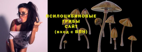героин Алзамай