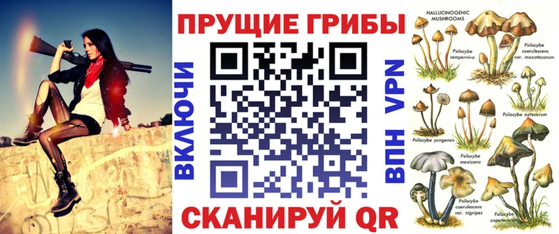 купить наркотики цена Дубна нарко площадка состав Псилоцибиновые грибы Psilocybine cubensis